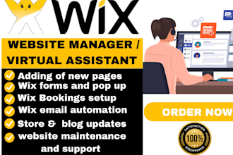 be your virtual assistant for wix website wix store design and shopify tasks va
