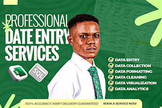 do data entry, excel data cleaning, data formatting on microsoft excel
