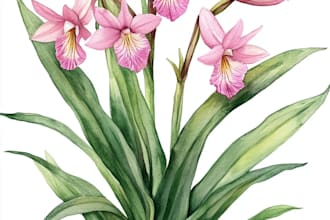 draw a botanical illustration