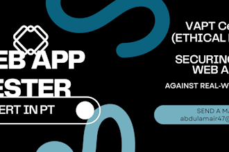 perform professional web application penetration testing vapt