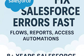 fix 1 salesforce issue, error, or automation problem