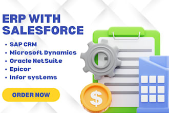 erp salesforce sap CRM microsoft dynamics oracle netsuite epicor infor systems