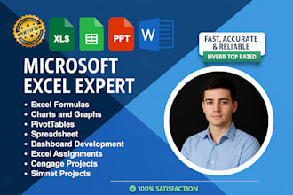 do urgent ms excel assignment ,ms word assignments, PPT projects and modules