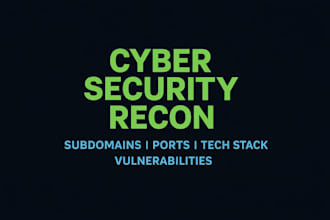 deep reconnaissance, subdomain enumeration and attack surface mapping