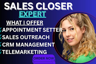 be your high ticket sales closer b2b salesperson appointment setting close sales