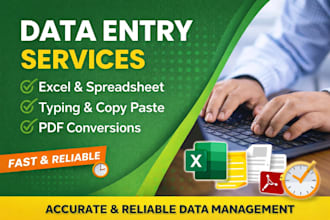 accurate data entry, copy paste, excel specialist