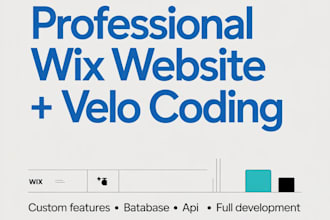 build a professional wix website with velo coding, API integration and database