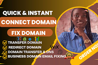 connect domain, do domain transfer, redirect domain, connect domain, fix domain