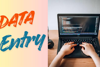 do data entry,  excel data entry, typing,