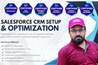 be your salesforce consultant and developer