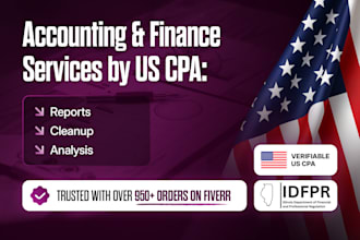 accounting and finance services by US CPA reports cleanup analysis