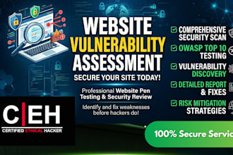 perform website security audit vulnerability scan