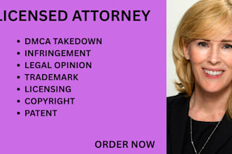 handle copyright, patent, IP infringement,and dmca takedown cases as your lawyer