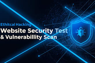 do website security assessment port scan exploit checks