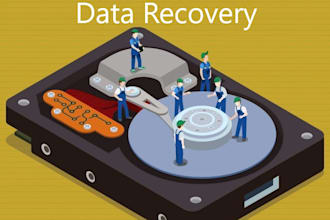 expert recovery of lost, deleted, or corrupted data