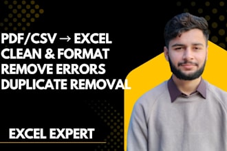 convert PDF and CSV files to excel with formatting