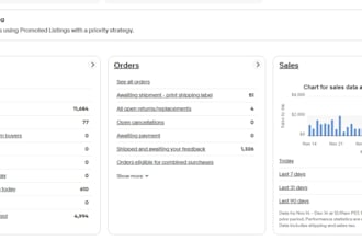 manage your ebay account as a virtual assistant, VA and related issues