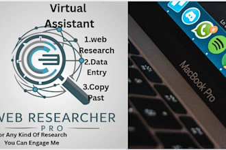 do professional data gathering and web research for you