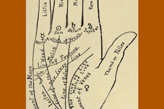 palmistry by reading palms of hands