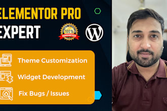 create, customize, or revamp your wordpress site as elementor pro expert