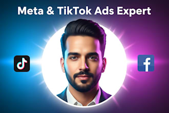 professional meta and tiktok campaign