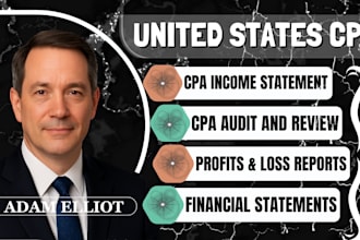 audit financial statement, profit loss, income statement, cashflow balance sheet