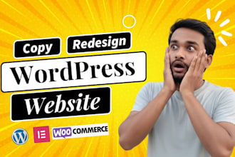 flawlessly clone, copy or redesign wordpress website