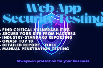 perform professional web application penetration testing  owasp top 10