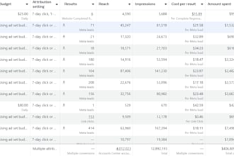 audit your facebook or google ads and give you an action plan