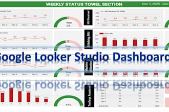 provide looker studio or google dashboard services for apparel and textile