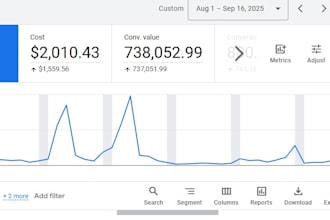 set up google ads campaign, gmb, ecommerce tracking for businesss leads