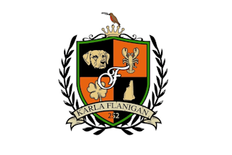 create creative and good looking family crest logo design