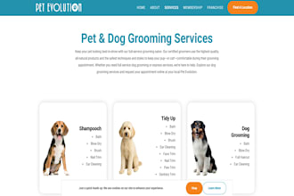 build squarespace pet grooming website dog grooming cat grooming salon website
