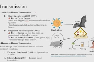 provide biomedical science research and presentation support