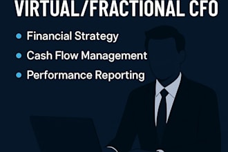 create mis reports,dashboards,budgeting and provide virtual cfo support