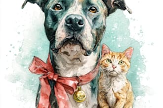 draw your christmas pet portrait