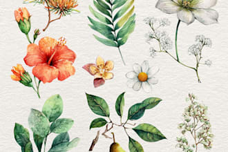 draw realistic botanical watercolor illustration