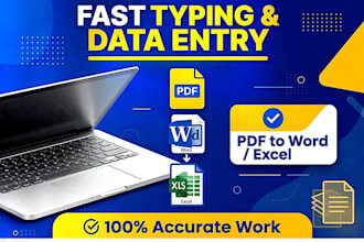 do data entry, ms excel formulas, ms word typing, and PDF to word expert