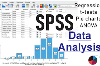 do spss data analysis