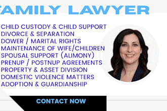 provide support in family law cases