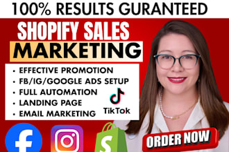 complete shopify marketing sales funnel, christmas dropshipping store sales