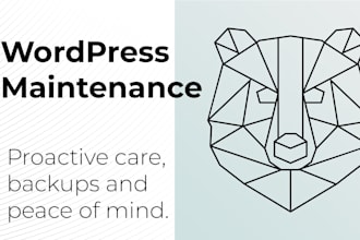provide professional monthly wordpress maintenance, security and backups