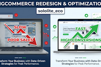 redesign and optimize your existing bigcommerce store for speed and sales
