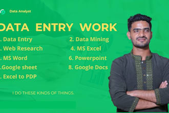 do data entry work, ms excel, and google sheet very quickly
