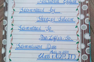 do assignment work in good handwriting