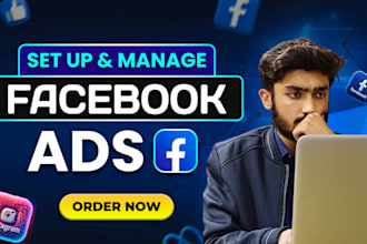 run meta ads, insta ads, fb ads and ecommerce ads, meta campaign setup