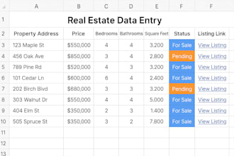 do professional real estate data entry into excel
