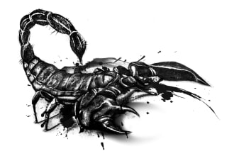 draw an great tattoo design