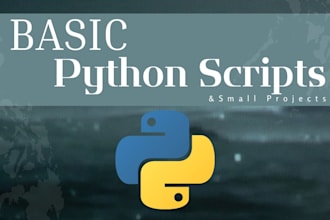 help with basic python projects and scripts