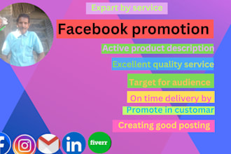 do facebook promotion successfully USA any company